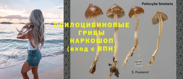 таблы Богданович