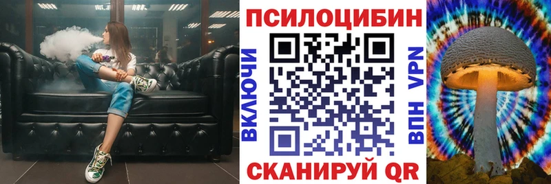 Купить закладки  Красноперекопск  Псилоцибиновые грибы Psilocybine cubensis 